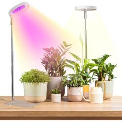 LED Full Spectrum taimelamp taimeriga, 2 tk