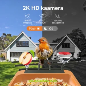 Päikesetoitel lindude söögimaja 2K AI-kaameraga
